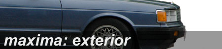 maxima: exterior